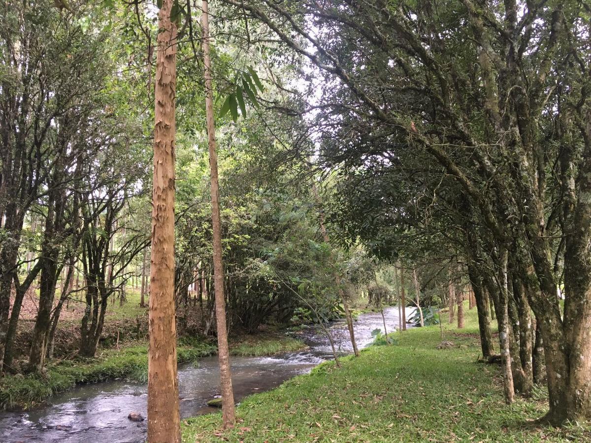Cabana No Campo Caminho Do Salto Ventoso Farroupilha Ngoại thất bức ảnh